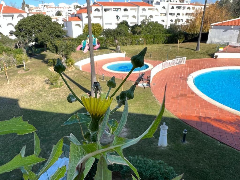 Painel De Albufeira Διαμέρισμα Εξωτερικό φωτογραφία